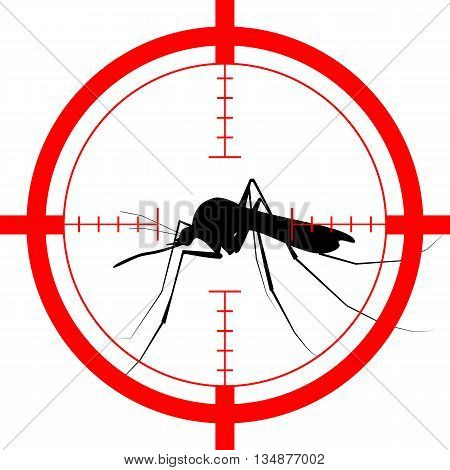 Target On Mosquito