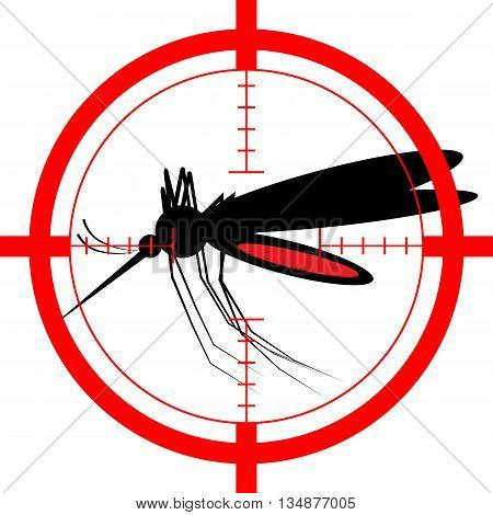 Target On Mosquito