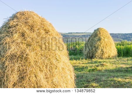 Pile Of Hay On Field