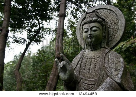 Buddha