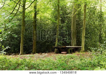Old abandond trailer left in the woods