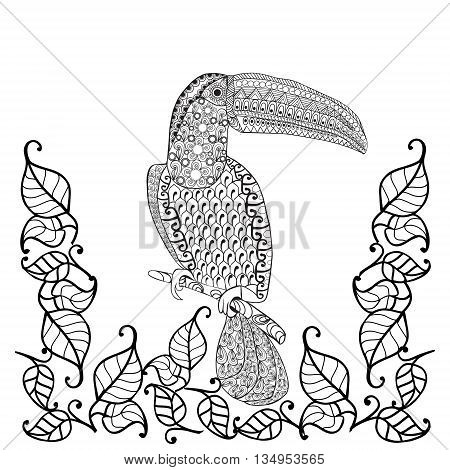 Vector Toucan bird Anti-stress coloring book for adults vector illustration. coloring for adult in zentangle style. Hand drawn doodle outline ornate