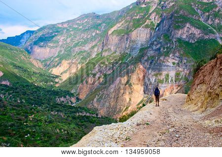 View of Canyon Colca Peru. South America