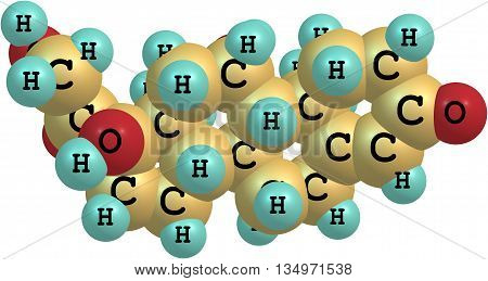 A molecular model of the hormone Hydrocortisone or Cortisol. IT is primarily released from the adrenal gland as a response to stress. Isolated on white. 3d illustration
