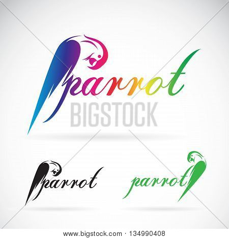 Vector image of a parrot design on white background. / Vector parrot for your design.