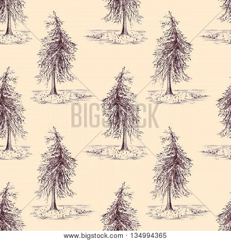 Sketched spruce pine tree sepia seamless pattern background