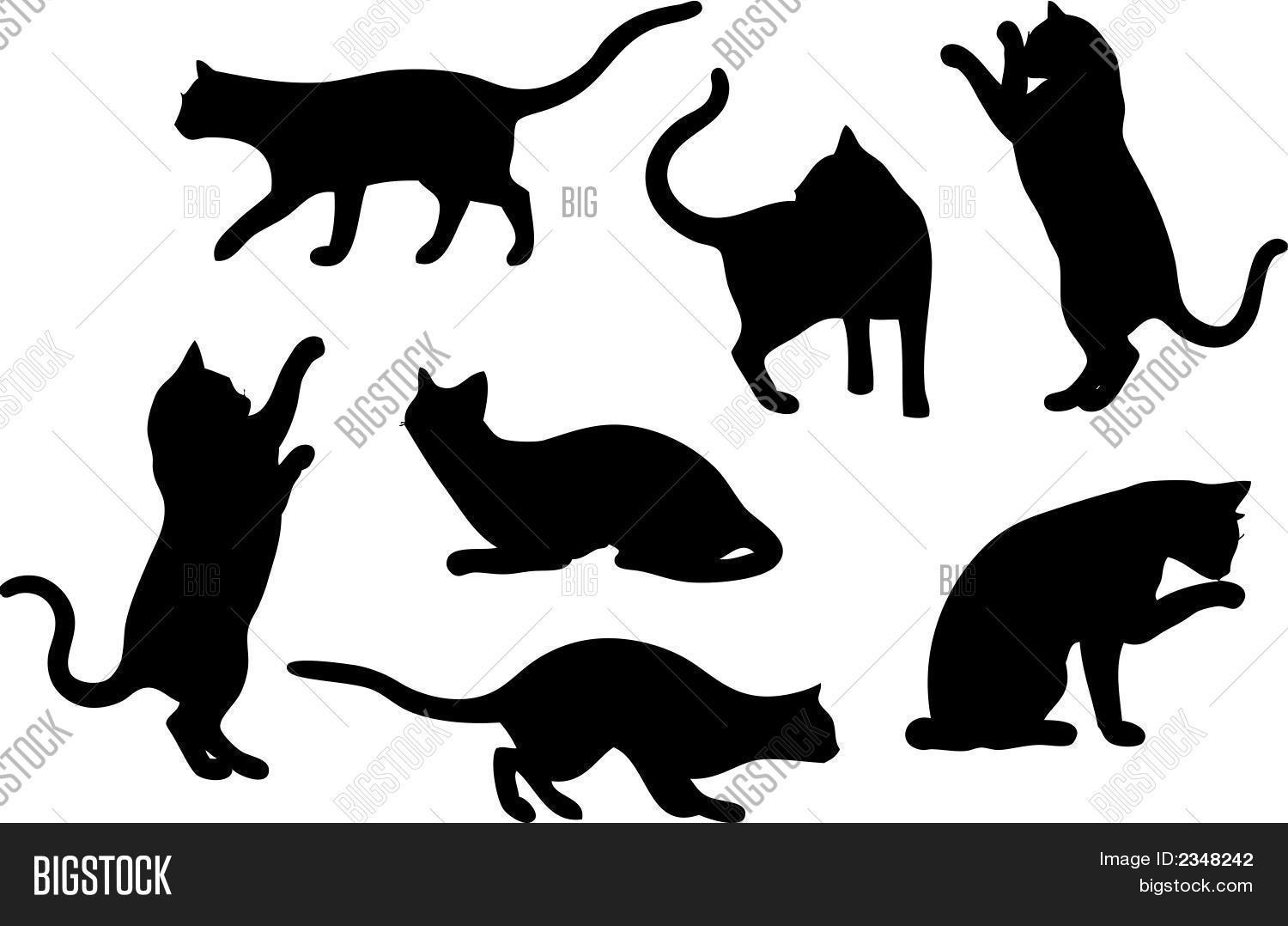Set Cat Silhouettes Vector & Photo (Free Trial) | Bigstock