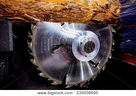 Sawmill. Powerful Circular Saws Saw A Log. Woodworking Industry.