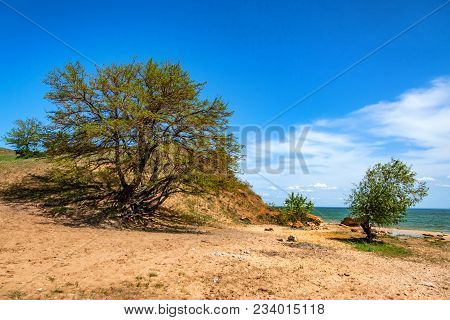 Beautiful View Of Trees Growing On The High Bank Of The Tsimlyansk Reservoir In Russia On Sunny Day
