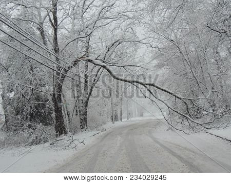 Broken Tree Limb Covering The Road On A Winter Day