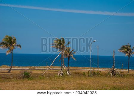 Sea And Palm Trees Near The Fortress. Havana. Cuba.
