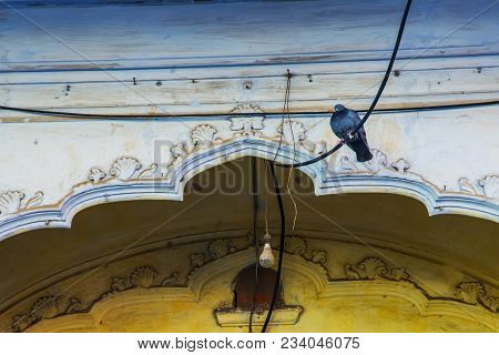 The Dove Sits On The Wire Against The Background Of The Eastern Arch. India.