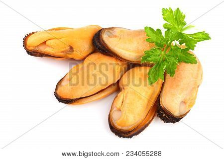 Mussel With Parsley Leaf Isolated On White Background.