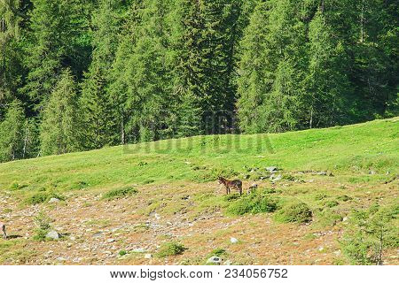 Pass Of The Cow From Tito Secchi Refuge In Valsabbia, Brescia, Italy.