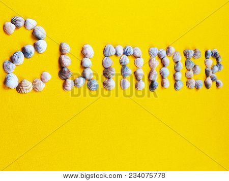 The Inscription Of The Word Summer Shells. The Concept Of Travel, Tourism