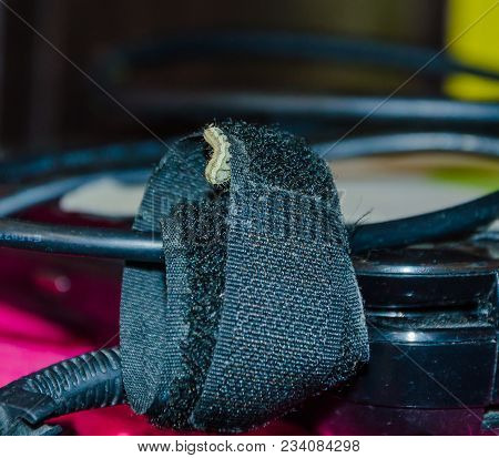 Caterpillar Of A Rare Kind Close-up On The Power Wires Of A Laptop.