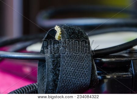 Caterpillar Of A Rare Kind Close-up On The Power Wires Of A Laptop.