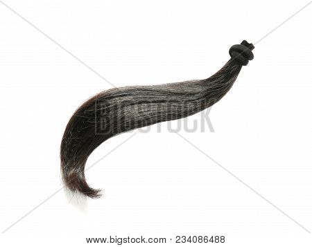 A Strand Of Natural Black Hair Affixed With A Hair Tie Isolated On White Background