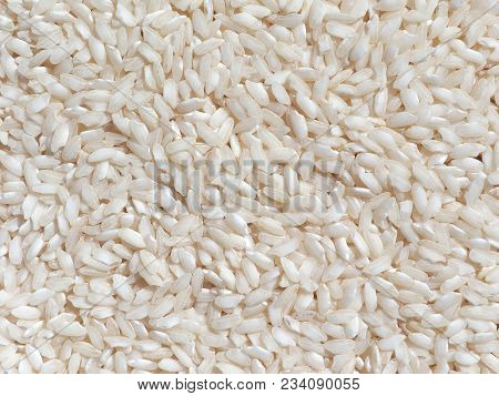 Carnaroli Rice, Medium Grained Rice Grown In The Pavia, Novara And Vercelli Provinces Of Northern It