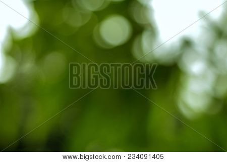 Abstract Blur With Bokhe Of Light Through The Green Trees.