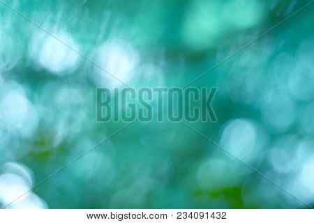 Abstract Blur With Bokhe Of Light Through The Green Trees