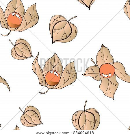 Vector Seamless Colored Physalis Berry Pattern On White Background.