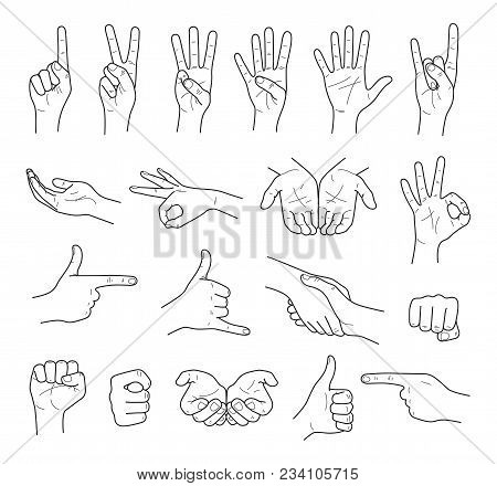 Hand Gestures Contour Sketch Large Vector Set