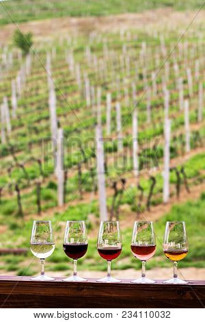Glasses With Wine. Red, Pink, White Wine In Glasses.