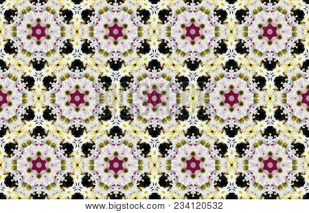 Wide vintage seamless background pattern. Rose, poppy, wild flowers with nightingales and leaf. Abstract, hand drawn, vector - stock.