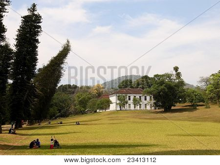 Kraliyet Botanik Bahçesi, Sri Lanka, Peradeniya