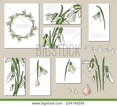 Snowdrop Set With Visitcards And Greeting Templates