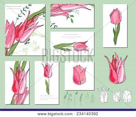 Tulip  Set With Visitcards And Greeting Templates