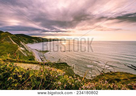 A View To Scenic Coastine Of Zumaia, Spain From A Summer Meadow With Summer Plants And Flowers.