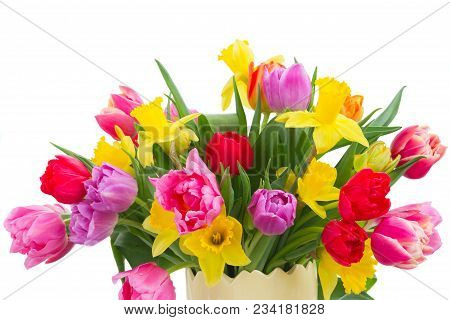 Fresh Pink, Purple And Red Tulips And Yellow Daffodils Flowers Bouquet Isolated On White Background