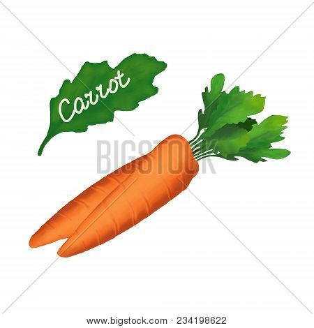Orange Ripe Carrots On A White Background.bright Carrots.