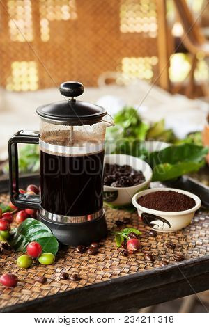 Fresh Coffe In French Press With Roasted Coffee Beans, Fresh And Ripe Coffea Cherries And Leaves Out