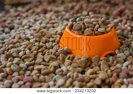 Orange Plastic Bowl Filled With Dry Pet Food Surrounded By Dry Food For Cat And Dogs