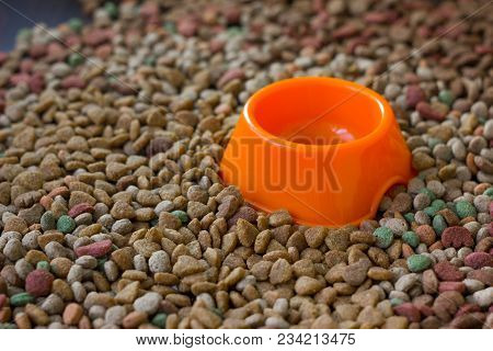 Empty Plastic Bowl Surrounded By Dry Pet Food