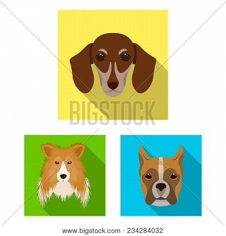 Dog Breeds Flat Icons In Set Collection For Design.muzzle Of A Dog Vector Symbol Stock  Illustration