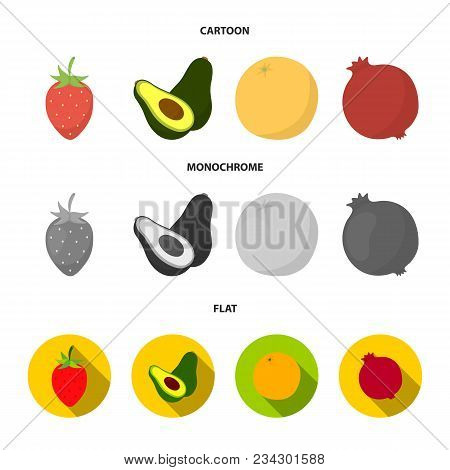Strawberry, Berry, Avocado, Orange, Pomegranate.fruits Set Collection Icons In Cartoon, Flat, Monoch