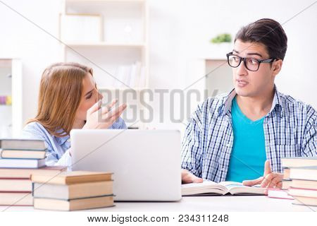 Two students preparing to school exams