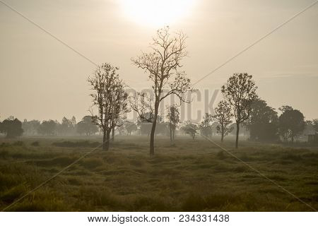 Thailand Buriram Landscape Field