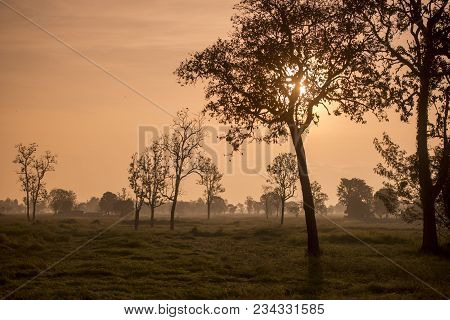 Thailand Buriram Landscape Field