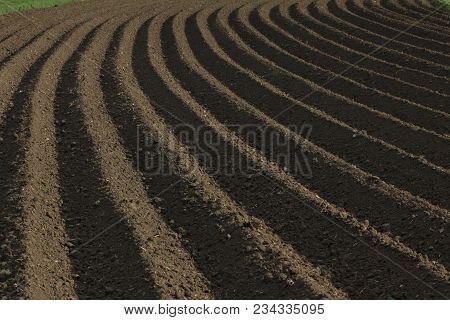 Fertile Soil As Basis For A Functional Agricultural Cultivation