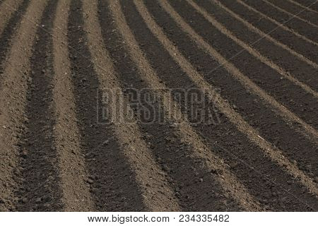 Fertile Soil As Basis For A Functional Agricultural Cultivation