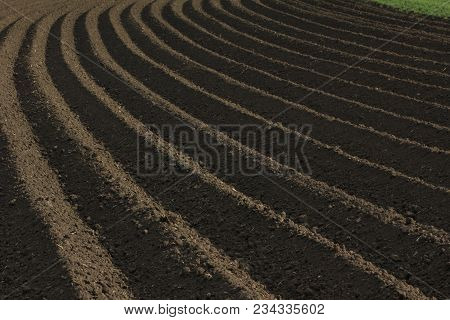 Fertile Soil As Basis For A Functional Agricultural Cultivation