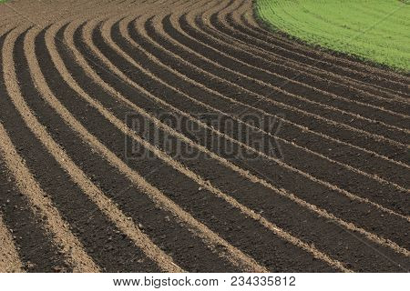Fertile Soil As Basis For A Functional Agricultural Cultivation