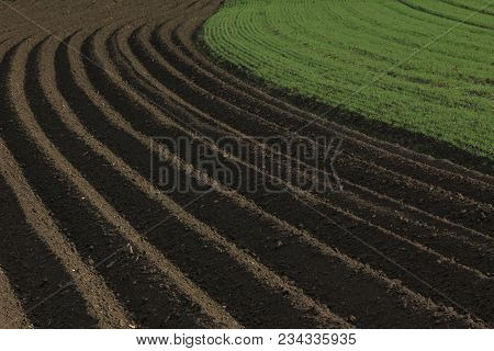Fertile Soil As Basis For A Functional Agricultural Cultivation
