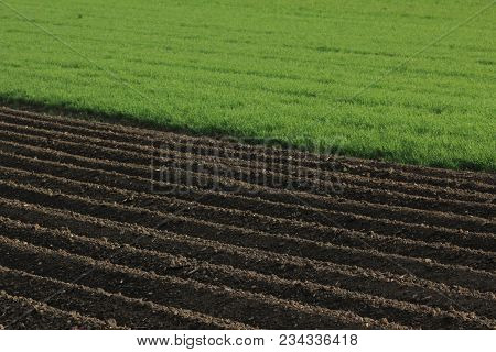 Fertile Soil As Basis For A Functional Agricultural Cultivation