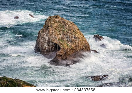 New Zealand Coast